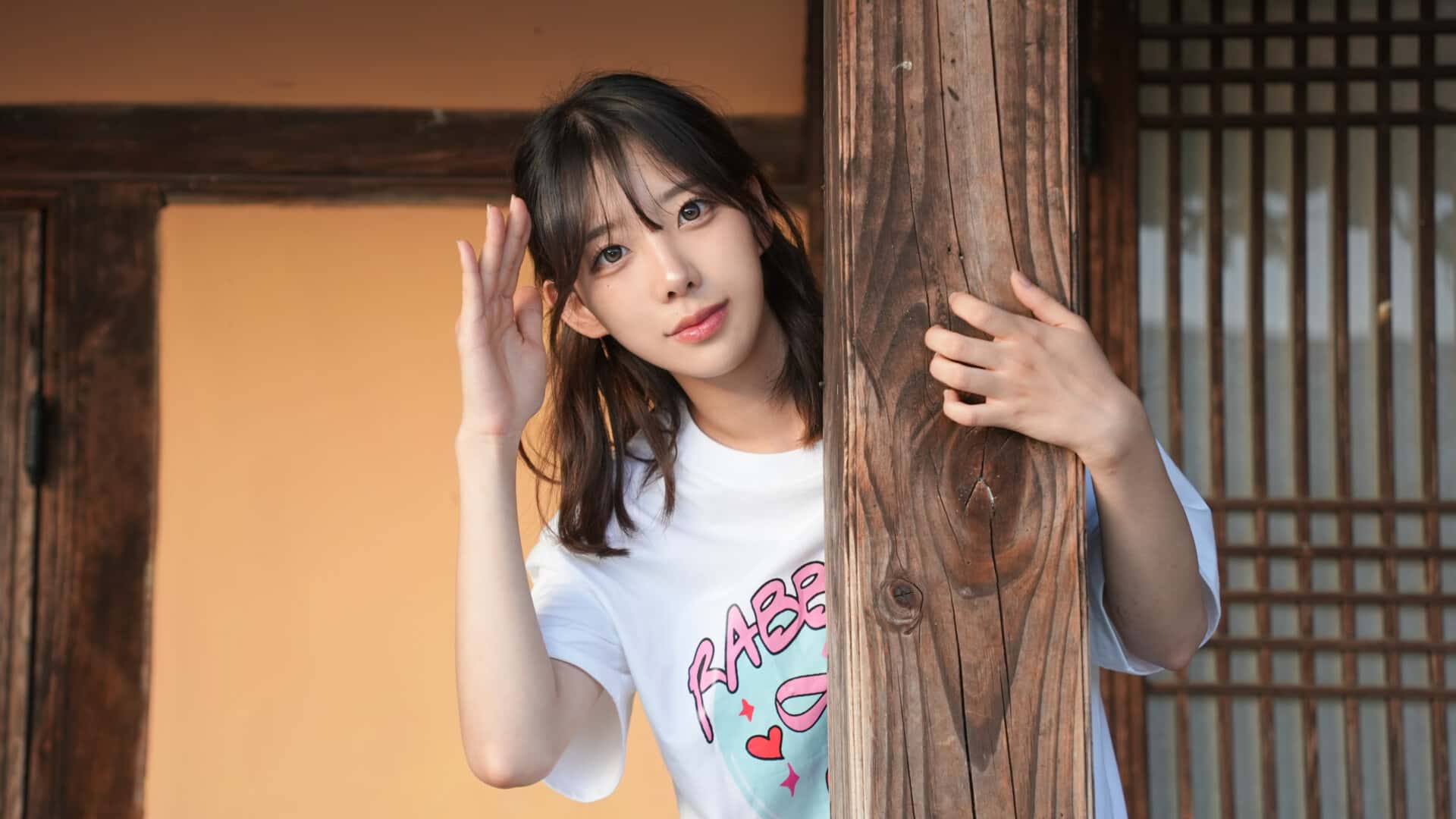 视觉数据2